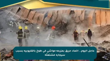عاجل اليوم.. إخماد حريق بمزرعة مواشى في طوخ بالقليوبية بسبب سيجارة مشتعلّة